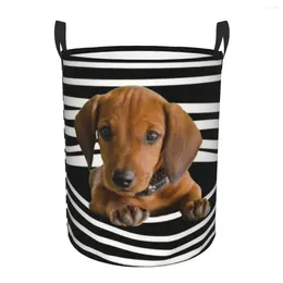 Laundry Bags Dachshund Stripes Basket Collapsible Weiner Dog Clothing Hamper Toys Organiser Storage Bins