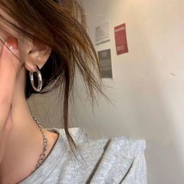 Hoop Earrings 2024 Niche Design Ear Rings Gathering Jewelry Accessories For Women And Girls