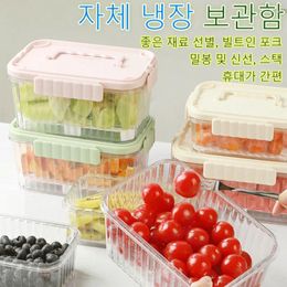 Dinnerware Portable Transparent Mini Refrigerator Iscube Fruit Bento Closure Chest