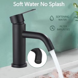 Bathroom Sink Faucets Stainless Steel Single Hole Cold Water Mixer Tap Washbasin MaBlack Faucet With Tube Accessories