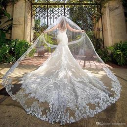 Gorgeous 3M Wedding Veils With Lace Applique Edge Long Cathedral Length Veils One Layer Tulle Custom Made Bridal Veil With Comb3563906