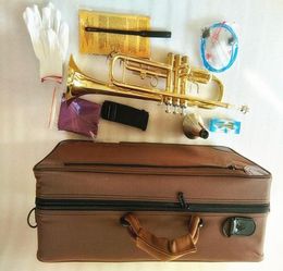 Brand new Professional LT18043 Bb Trumpet Instruments golden Carved Brass Musical Instrument Bb Trumpet 1528650