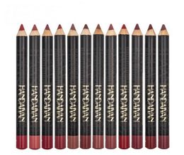 Handaiyan Matte lipstick lip liner Pen Set 12 Colour Lips Makeup Kit Non Stick Cup Easy to Wear Natural Pencil2561752