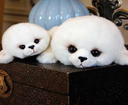 Drop Soft Cute Seals Plush Toy Sea World Animal Sea Lion Plush Stuffed Doll Baby Birthday Gift for Kids Girls Gift White Q6804101