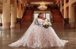 2021 Plus Size Wedding Dress Lace Champagne Blush Long Sleeves Bridal Gowns Appliqued V Neck Corset Up Back Church Marriage Dresse7885037