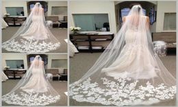 2020 Selling Cheapest In Stock Long Chapel Length Bridal Veil Appliques 2019 Veu De Noiva Longo Wedding Veil Lace Purfle with8001940