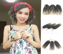 Malibob crochet hair 8inch Kinky Curly Crochet braids Synthetic Malibob Braids Hair Extension marlybob Bug 3pcsLot marley braid k6160250