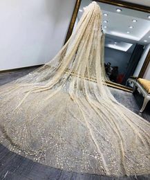 2019 newest Vintage champagne gold star shining veil long tail wedding bride luxury wedding dress Veils In Stock1998540