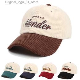 Ball Caps Womens Hat Letter Embroidery Vintage Corduroy Baseball Hat Candy Warm Winter Hat Womens Fresh Hip Hop Hat Bones Gorilla Q240408