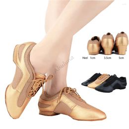 Dance Shoes Women Professional Latin Ball Room Jazz Slippers For Girls Ballroom Dancing Sneakers DS074