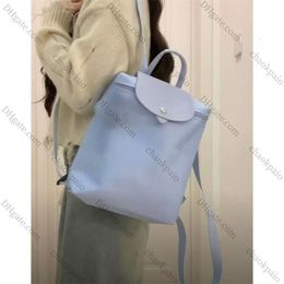 Miyagawa Fashionable Backpack 2024 New Travel Backpacks Waterproof Folding Casual Lightweight Student Shoulders Bag 1as Az