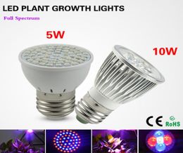 1Pcs Full Spectrum E27 5W 10W LED Grow lights lamp AC110V 220V Growth Bulb For Plant Flower Hydroponics system Growing Box3794395