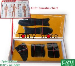 Gift Guasha chart Whole Retail Traditional Acupuncture Massage hard box Gua Sha kit 5pcsset 100 ox horn6452755