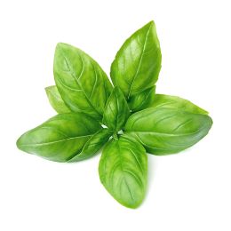 Basil Essential Oil AKARZ Top Brand Body Face Skin Care Spa Message Fragrance Lamp Aromatherapy Basil Oil