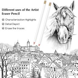 6 Pieces Artist Eraser Pencil Sketch Eraser Pen for Drawing Pen-Style Erasers Revise Details Painting Eraser for Artist