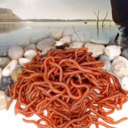 100pcs 3.8/5/6/8cm Dark Red Fishing Lure Soft Maggot Earthworm Artficial Bait Bionic Worm Fishy Smell for Fishing Worm Red Baits