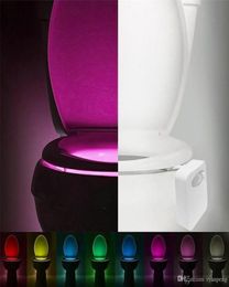 Smart LED Human Motion Sensor Activated Toilet Night Light Bathroom With 8 Color Toilet Seat Lamp Automatic Sensor Seat Light4401233