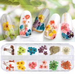 2Boxbag 12Colorsbox Dry Flowers Nail Art Decorations 3D Natural Daisy Sun flower Dry Floral DIY Stickers Manicure Summer Design 7762873