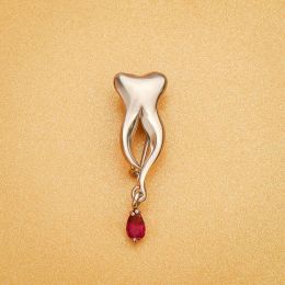 Hanreshe Dentist Tooth Medical Brooch Pins Creative Crystal Pendant Lapel Badge Medicine Dental Jewellery for Nurse Doctor