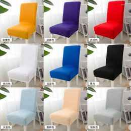 Table Cloth Simple Elastic Solid Colour Chair Cover El Restaurant Household Half General Stool White Tablecloth