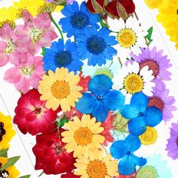 1 Pack Dried Flowers UV Resin Decorative Natural Flower Stickers 3D Dry Beauty Decal Epoxy Mold DIY Filling Accessories