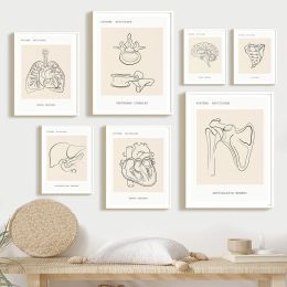 Heart Brain Lungs Spine Skeletal Neck Organ Anatomy Wall Art Canvas Painting Medical Poster And Prints Pictures For Clinic Decor