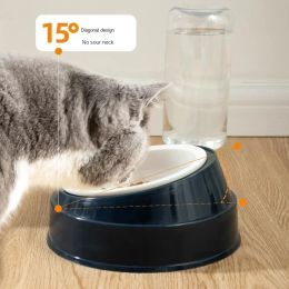 Cat Automatic Feeder for Cat Food Water Bowl Water Fountain Cats Double Bowl Anti-splash Drinker for Cat Stand Dish Bowl