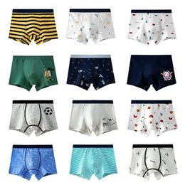 4PcsLot Boys Boxer Childrens Underwear Stripped Navy Blue Cato Underpants BoysClothing 240409