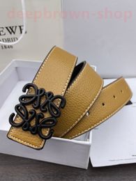 Loewe Designer Belt Mens Belt Luxury Belts For Man Designer Gold And Silver Cintura Belts For Women Designer Width 3.8Cm Head Striped Double-Sided Casual Loewe 435