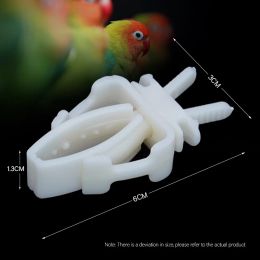 2Pcs Cute Small Pet Bird Food Holder Parrot Fruits Vegetables Clip Cuttlefish Bone Feeder Device Clamp Bird Cage Accessories