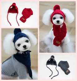 Dog Apparel Luxury Cat Harness Pet Cap Designer Fashion Adjustable Small Medium Puppy Denim Flower Printing