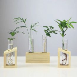 Transparent Crystal Glass Test Tube Vase in Wooden Stand Flower Pots for Hydroponic Plants Home Garden Decoration