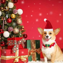 Dog Apparel Christmas Hats For Cats Festive Pet Santa Adorable Comfortable Anti-fall Costumes Dogs Pets Holiday