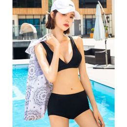 Swimsuit Womens Bikini Small Chest Gathering Sexy Slimming High Waist Chest Split Hot Spring Swimsuit