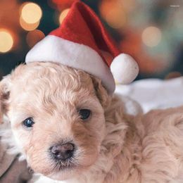 Dog Apparel Santa Hat Festive Pet Hats Adorable Comfortable Anti-fall Christmas Costumes For Cats Dogs Pets Stocking Stuffer