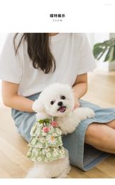 Dog Apparel Spring And Summer Puppy Breathable Ruffle Lace Daisy Slip Dress Cat Teddy Small Pet Clothes