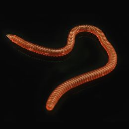 Silicone Worm Lure Sand worm 80/100mm 20pcs Earthworm for Fishing Saltwater and Freshwater Pesca Soft Plastics Lures Bait