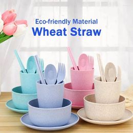 Plates 5 Dishes Set Wheat Straw Children Eco Friendly Plate Office School Tableware Dish Unbreakable Dinner