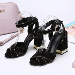 Sandals Black Suede Chunky Heel Women Luxury Round Toe Ankle Buckle Strap Solid Summer Design Party Dress Shoes