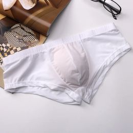 Men's Panties Ice Silk Breathable Underwear Thin See-Through Bikini Slip Homme Sexy Ultra Low Waist Bulge Pouch Boxer Briefs