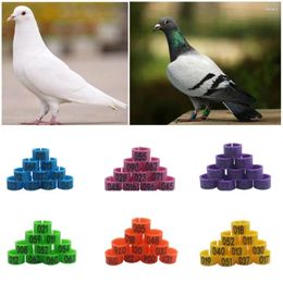 Other Bird Supplies 100Pcs Number (001-100) Inner Diameter 8mm Pigeon Leg Poultry Parrot Clip Rings Band Foot