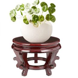 Flower Pot Base Small Plant Stand Single Indoor Wood Stands Fish Tank Plants Stool Holders