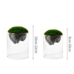 Glass Cylinder Vases Clear Vases for Wedding Centrepieces Hurricane Vase Modern Flower Glass Vases Formal Dinners Home Decor