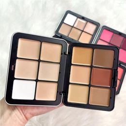 Decorative Figurines Makeup Palette Private Label Long Lasting Cream Contour Highlight Vegan Concealer Foundation