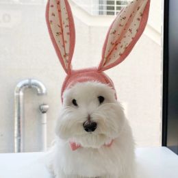 Pet Halloween Cosplay Hat for Cat Dog Knit Rabbit Ears Shape Hat Fun Photography