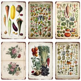 Vegetable Plants Retro Poster Fruits Vintage Metal Tin Sign Cauliflower Wall Art Sign Garden Kitchen Farm Decor Flowers Plate