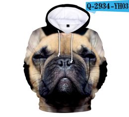 French Bulldog Hoodies Mens Fashion Casual Winter Hoodie 3D Full Print Cute Dog Brand Design Womens Sweatshirts Hoody6691327