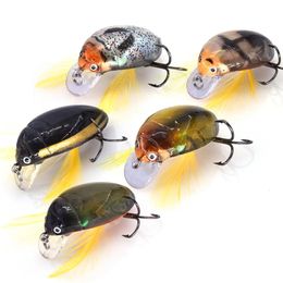 Makebass Artificial Beetle Fishing Bait Insect Lures Sea beetit crank 35 Bass Hard bait Tackle Lure 240327