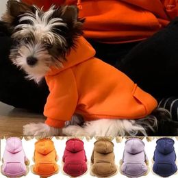 Dog Apparel Puppy Pet Hooded Sweatshirt Autumn And Winter Two-legged Pocket Cat Cloths Warm Comfortable Cotton Stretch Clothing