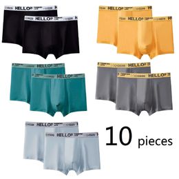 10 Pieces Men Boxers Shorts Underpants Underwear 2XL 3XL 4XL Colours Mixing Soft Fashion Sports Casual 240320